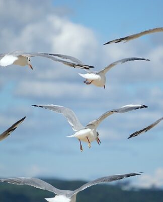 Jak rozwinąć firmę sprzątającą?