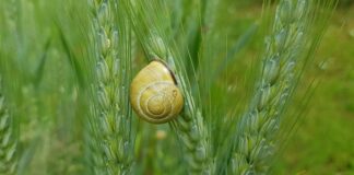Czym uszczelnić połączenie okna z parapetem?
