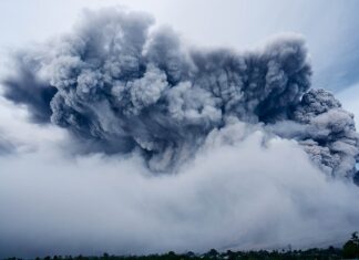 Jak pozbyć się popiołu z kominka? Jak pozbyć się popiołu z kominka?