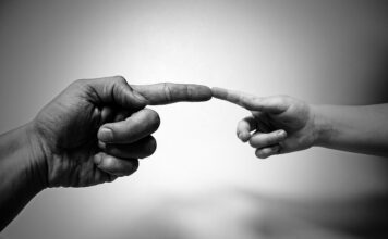 Po co są zimne palce w Destylatorze?