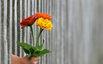 Ile kosztuje ogrodzenie metalowe?