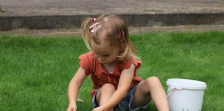 Czego brakuje psu jak je trawę?