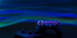 Czym ogrodzić ogródek warzywny przed psem?