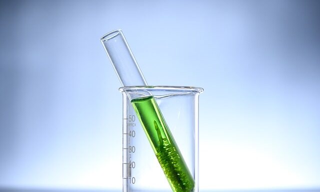 Jak pozbyć się glonów z kamieni?