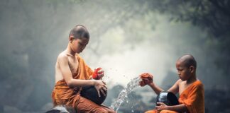 Ile kosztuje czyszczenie przydomowej oczyszczalni ścieków?