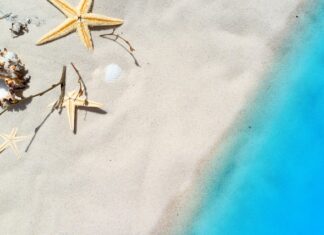 Czy małże oczyszczają wodę? Czy małże oczyszczają wodę?