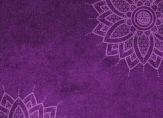 Czy można dostać mandat za szczekanie psa?