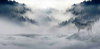 Czy mróz podnosi kostkę brukową?