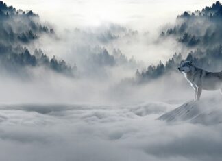 Czy mróz podnosi kostkę brukową? Czy mróz podnosi kostkę brukową?