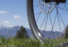 Czym różni się Puzzi 8 1 od 10 1? Czym różni się Puzzi 8 1 od 10 1?