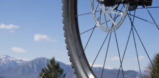 Czym różni się Puzzi 8 1 od 10 1?