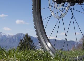 Czym różni się Puzzi 8 1 od 10 1?