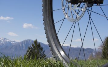 Czym różni się Puzzi 8 1 od 10 1?