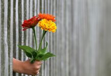 Z której strony słupka granicznego postawić ogrodzenie?