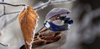 Jak najtaniej ogrzać mieszkanie w bloku?