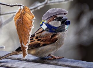 Jak najtaniej ogrzać mieszkanie w bloku?