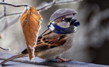 Jak najtaniej ogrzać mieszkanie w bloku?