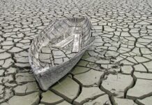 Czy wykopanie stawu osuszy teren?