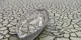 Czy wykopanie stawu osuszy teren?