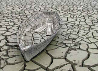 Czy wykopanie stawu osuszy teren?