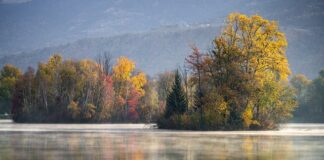 Co lepsze gres czy panele?