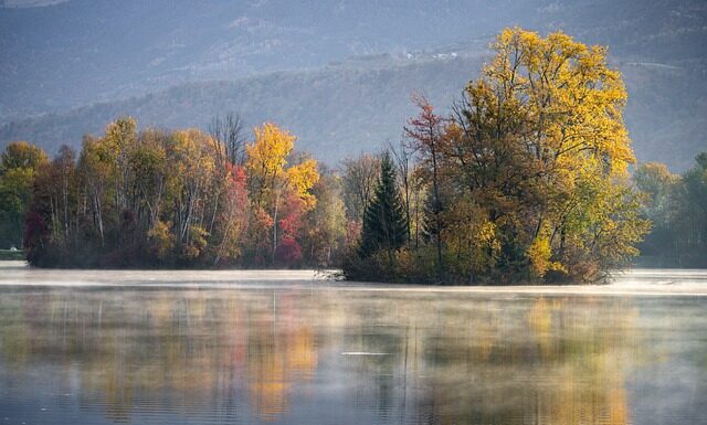 Co lepsze gres czy panele?