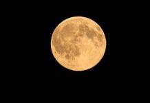 Jak zrobić bimber bez aparatury? Jak zrobić bimber bez aparatury?