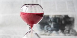 Po jakim czasie giną pasożyty?