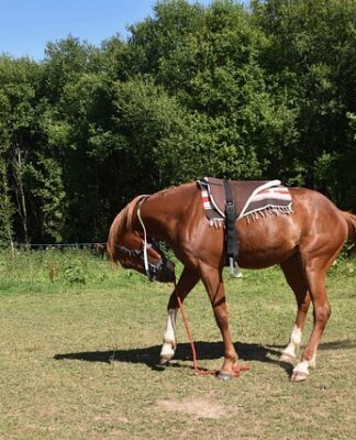 Kiedy montować wyłaz dachowy?