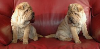 Jak długo trwa montaż okna dachowego?