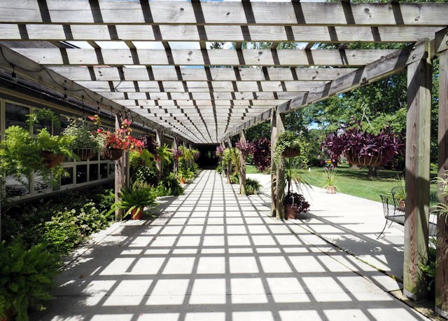 pexels-gene-samit-546626702-36410012 pergola tarasowa